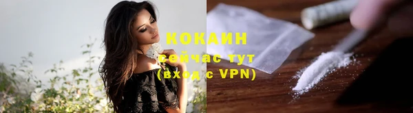 ешки Алексин