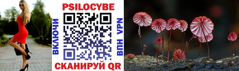 Псилоцибиновые грибы Magic Shrooms  Лениногорск 