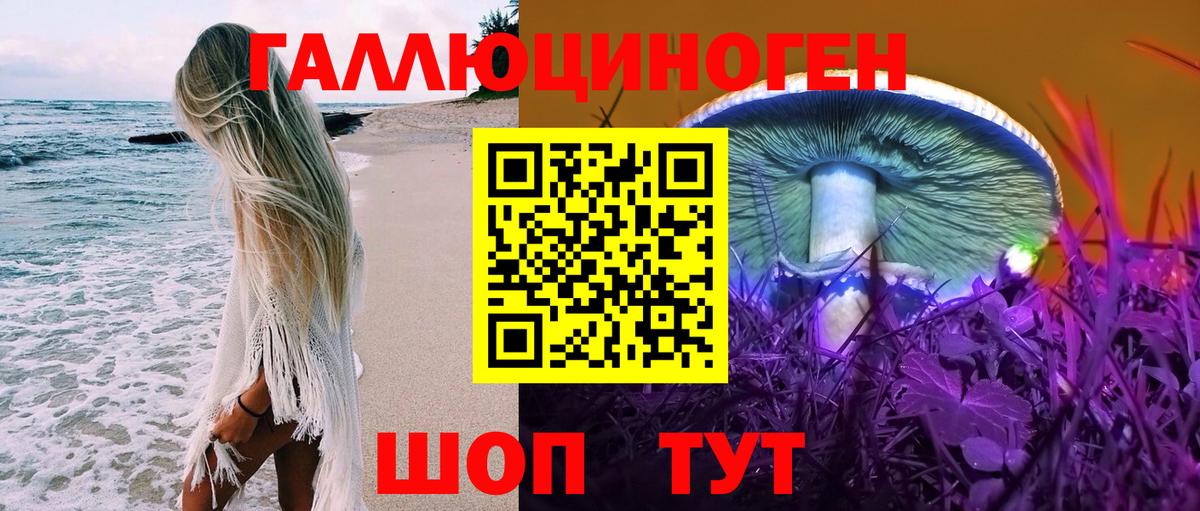 Псилоцибиновые грибы Cubensis Лениногорск